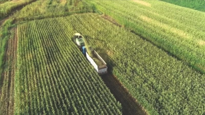 Tarım Sektöründe Şok Destek: Çiftçiye 877 Milyon Euro! Hangi Ülke Ne Kadar Yardımda Bulunacak?