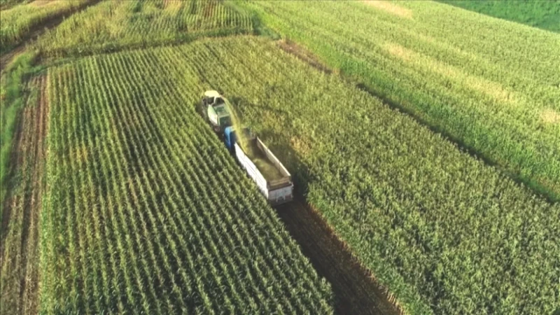 Tarım Sektöründe Şok Destek: Çiftçiye 877 Milyon Euro! Hangi Ülke Ne Kadar Yardımda Bulunacak?